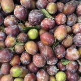 Mürdüm Eriği 500 g