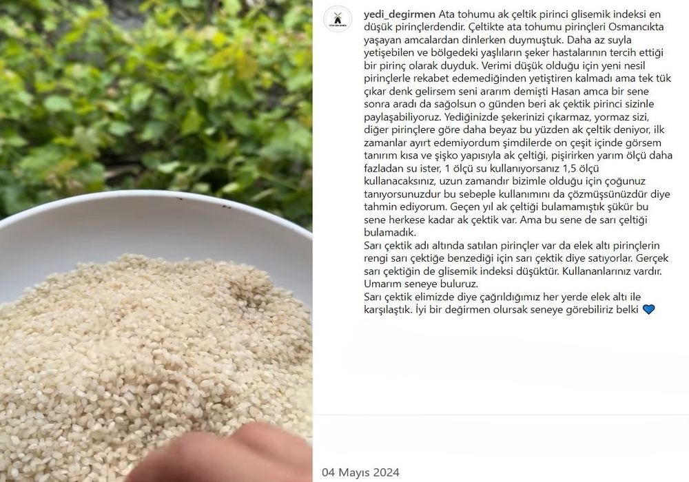 ak çeltik pirinç, yedi değirmen, ata tohumu pirinç, osmancık, yerli pirinç