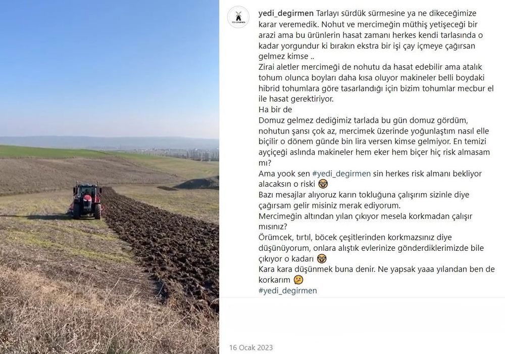 kirmizi-mercimek-yedidegirmen