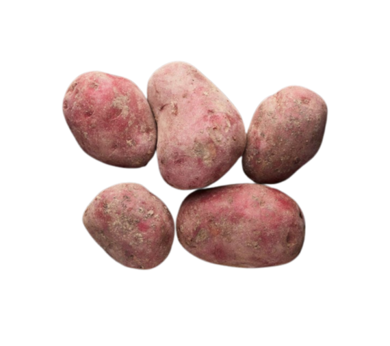 Kırmızı Patates 3 kg