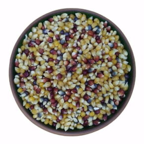 renkli mısır yedi değirmen