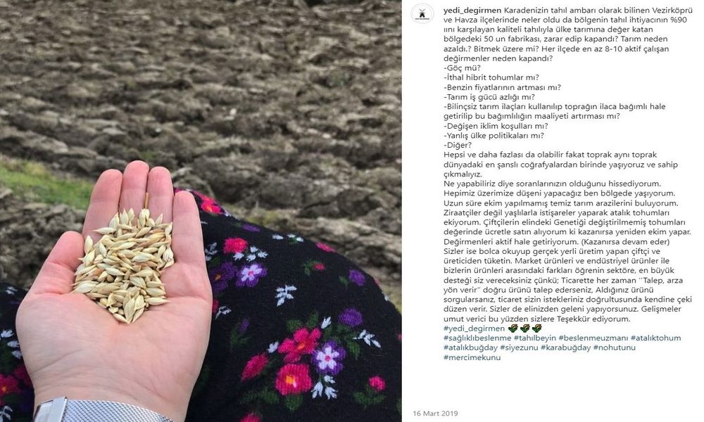 Siyez bulguru, bamya tohumu ve kuru börülce fasulyesi gibi yerli üretim, ata tohumu pek çok bakliyat Yedi Değirmen'de satışta..