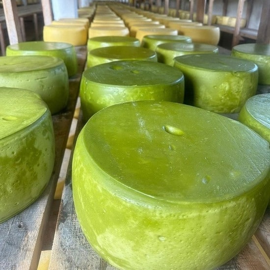 yedi-degirmen-pesto-kasar-02