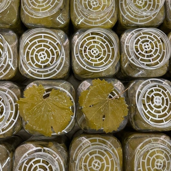 yedi-degirmen-tokat-uzum-yapragi-5